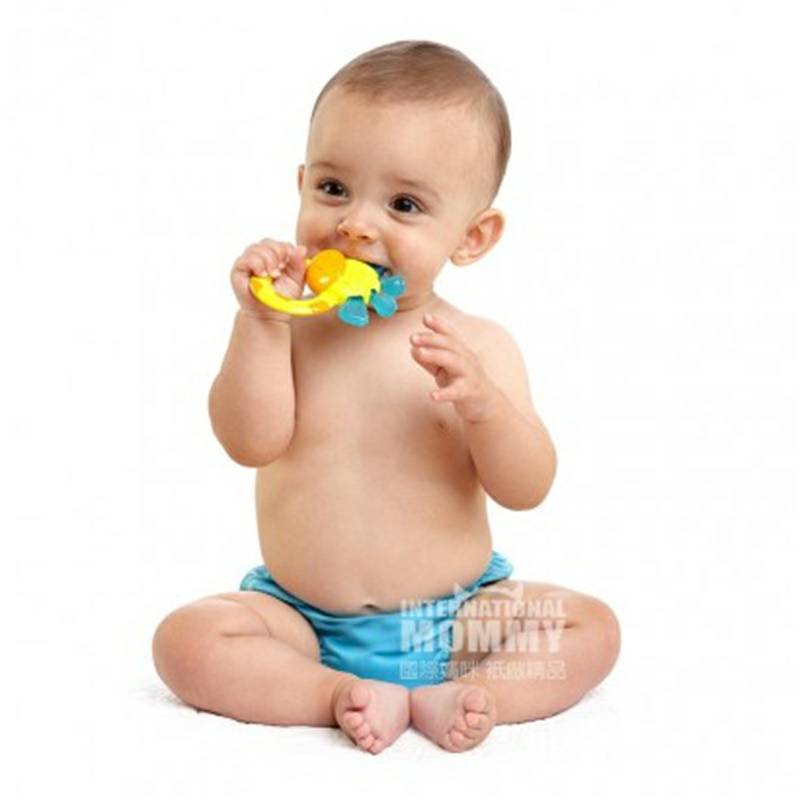 BRIGHT STARTS 미국기린아기마우스가드해외버전