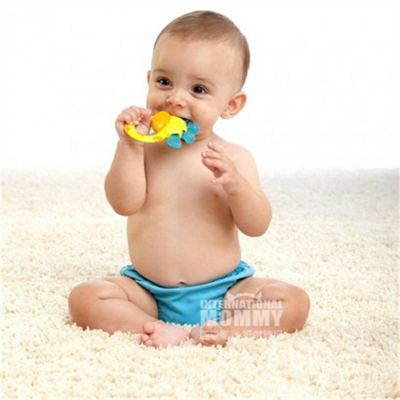 BRIGHT STARTS 미국기린아기마우스가드해외버전