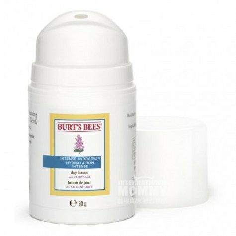 BURT S BEES 미국워터파이팅수분데이크림해외버전