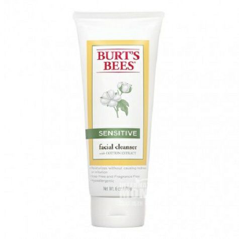 BURT S BEES 미국목화에센스민감성피부클렌징폼해외버전