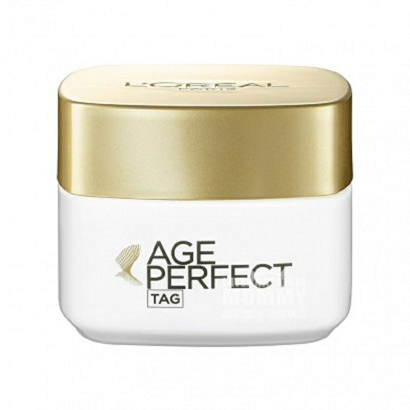 [2 종세트] L OREAL Paris 프랑스김치진씨콩단백데이크림 + 나이트크림해외버전