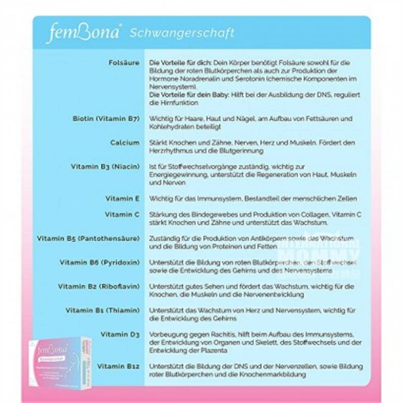 FemBona 독일 femBona 임신종합비타민및엽산캡슐해외버전