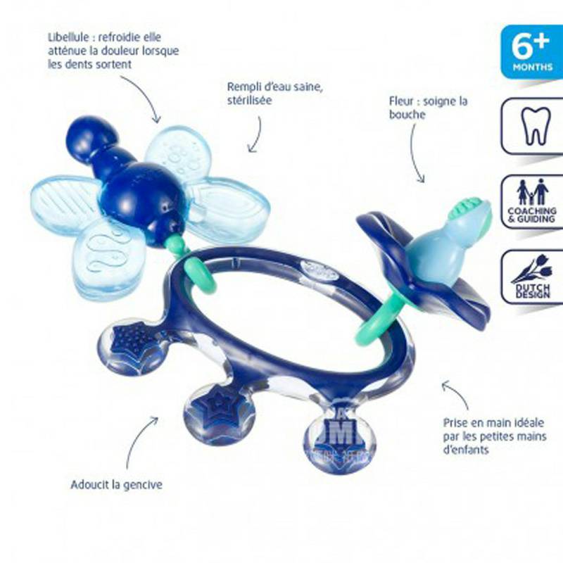 Difrax 네덜란드아기이빨껌 6 개월이상해외판