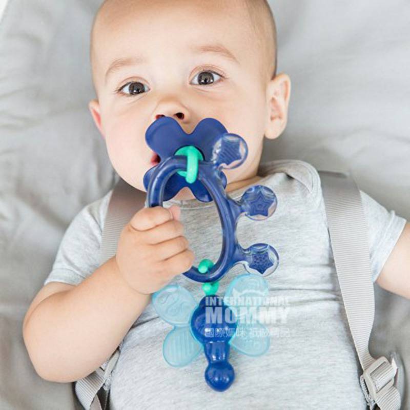 Difrax 네덜란드아기이빨껌 6 개월이상해외판