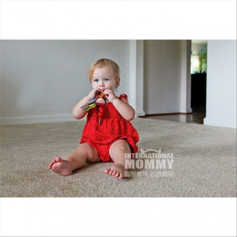 B. Toys 미국사람시뮬레이션음향효과럭키키치아홀더해외버전