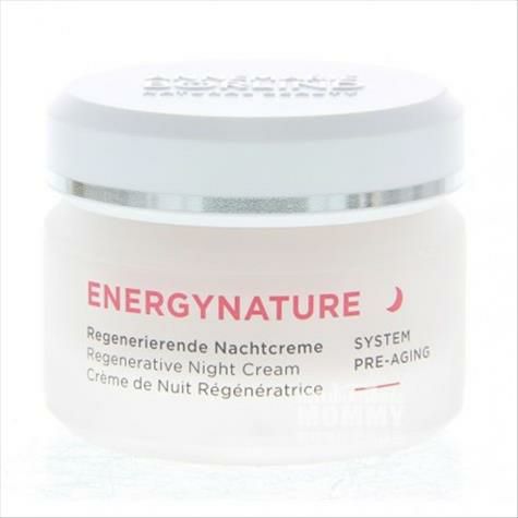 ANNEMARIE BORLIND 독일내추럴에너지래디언스모이스춰라...