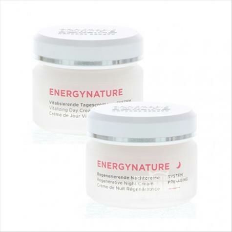 [2 조각] ANNEMARIE BORLIND 독일천연에너지래디언...