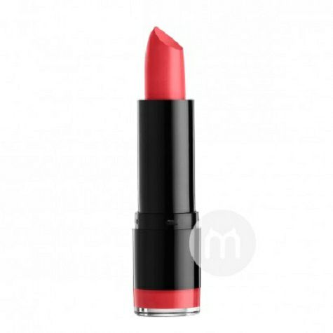 NYX 미국사람원형튜브보습립스틱해외판