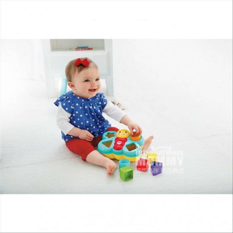 Fisher Price미국작은나비매칭상자빌딩블록교육장난감해외버전