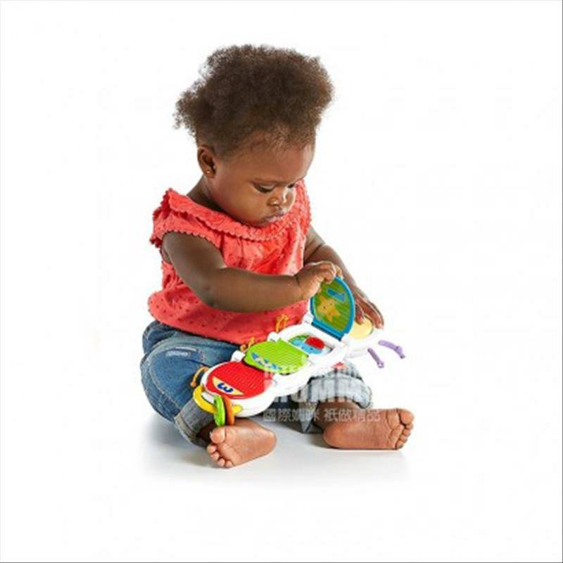 Fisher Price미국아기애벌레조기교육장난감해외버전