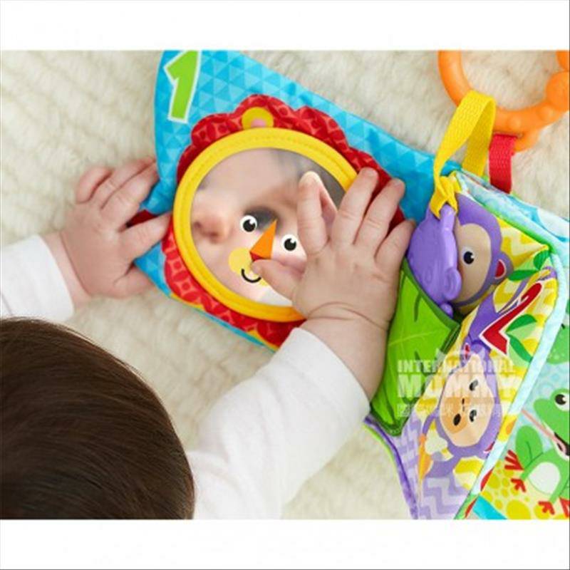 Fisher Price 미국동물공원장난감도서해외판