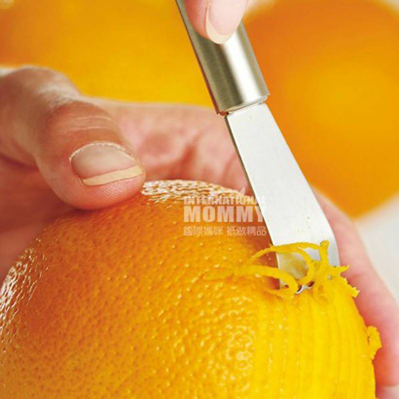 WMF 독일스테인리스레몬오렌지강판해외버전