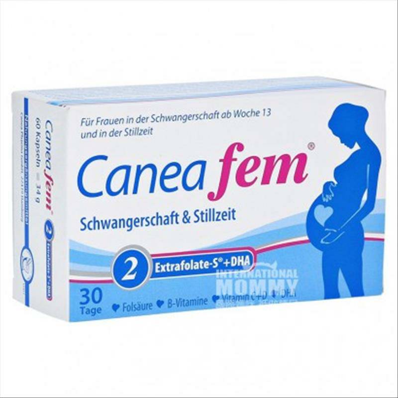 Caneafem 독일종합비타민엽산 DHA 캡슐 2 세그먼트해외버전