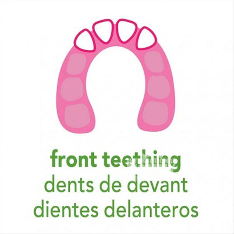 Green Sprouts 미국사람는잇몸부기와냉각치아껌해외버전을완화시킵니다.