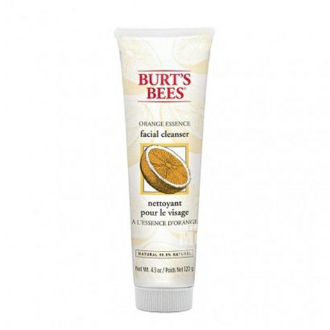 BURT S BEES 미국사람딥모이스처클렌저해외버전