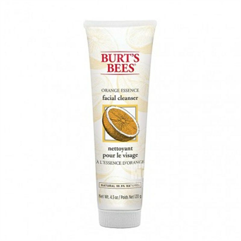 BURT S BEES 미국사람딥모이스처클렌저해외버전