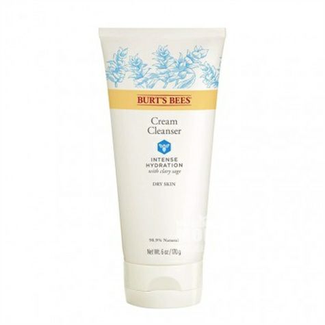 BURT S BEES 미국사람딥모이스처클렌저해외버전