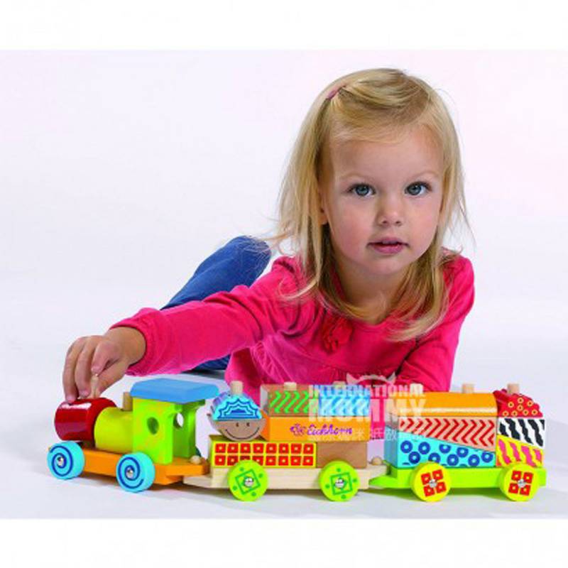 Eichhorn 독일아기장난감빌딩블록기차해외버전