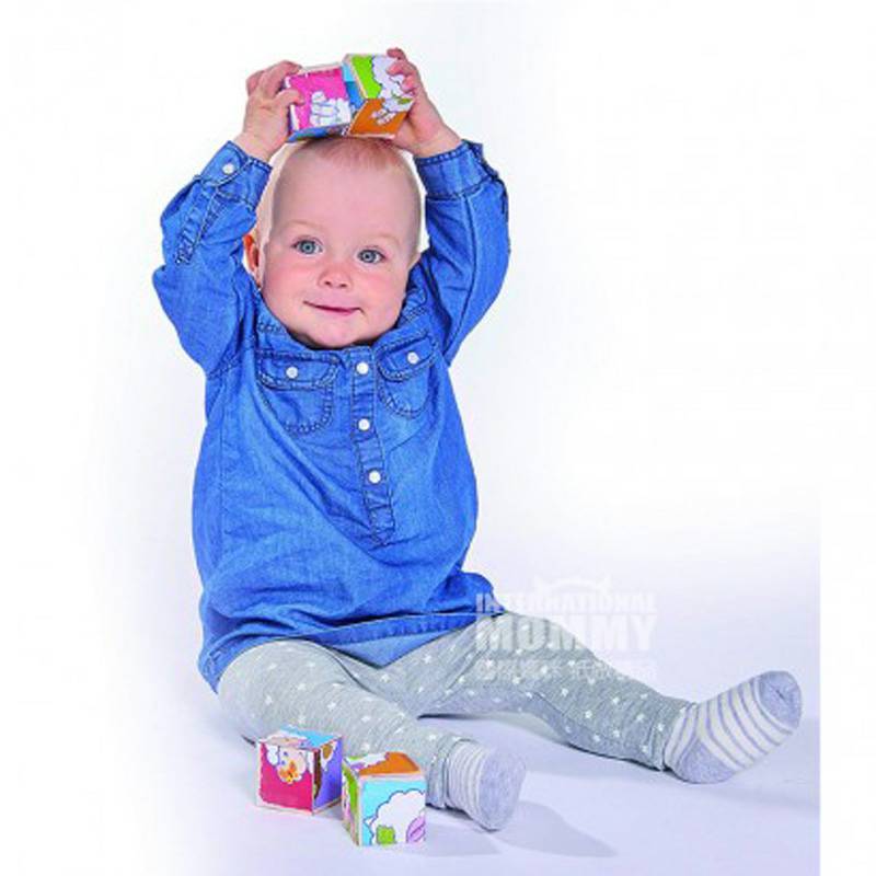 Eichhorn독일양고기큐브퍼즐장난감해외판