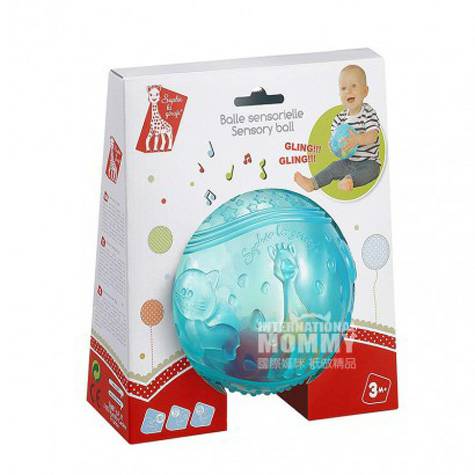 Vulli Sophie 프랑스아기딸랑이공해외버전