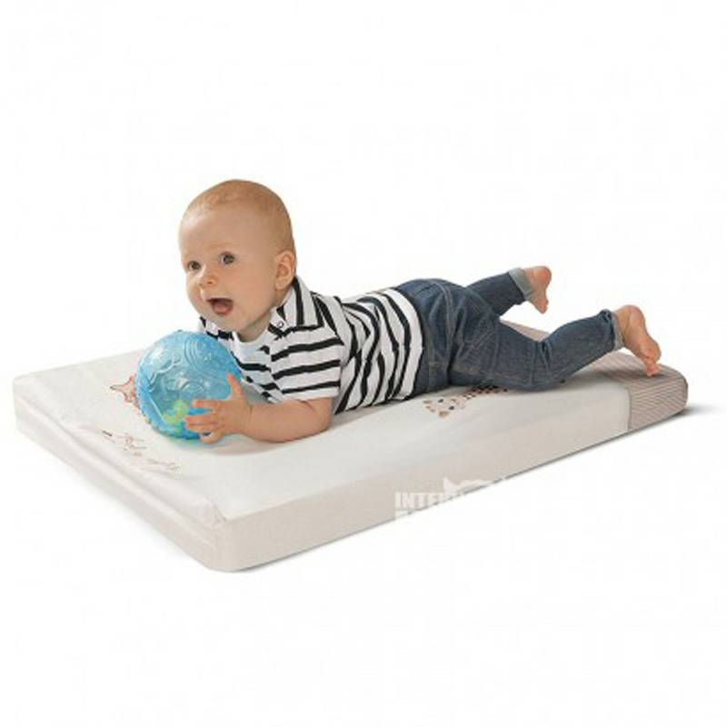 Vulli Sophie 프랑스아기딸랑이공해외버전