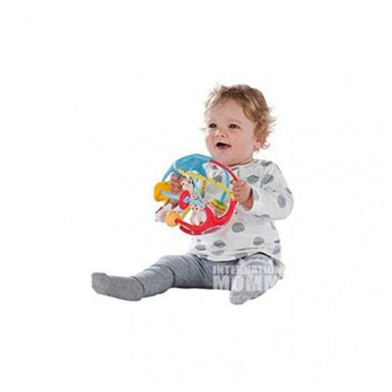 Vulli Sophie 프랑스베이비다기능체성감각핸드볼해외판