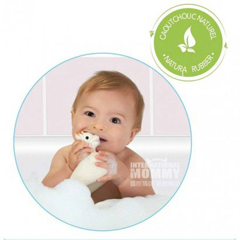 Vulli Sophie 프랑스아기고무기린목욕장난감해외버전