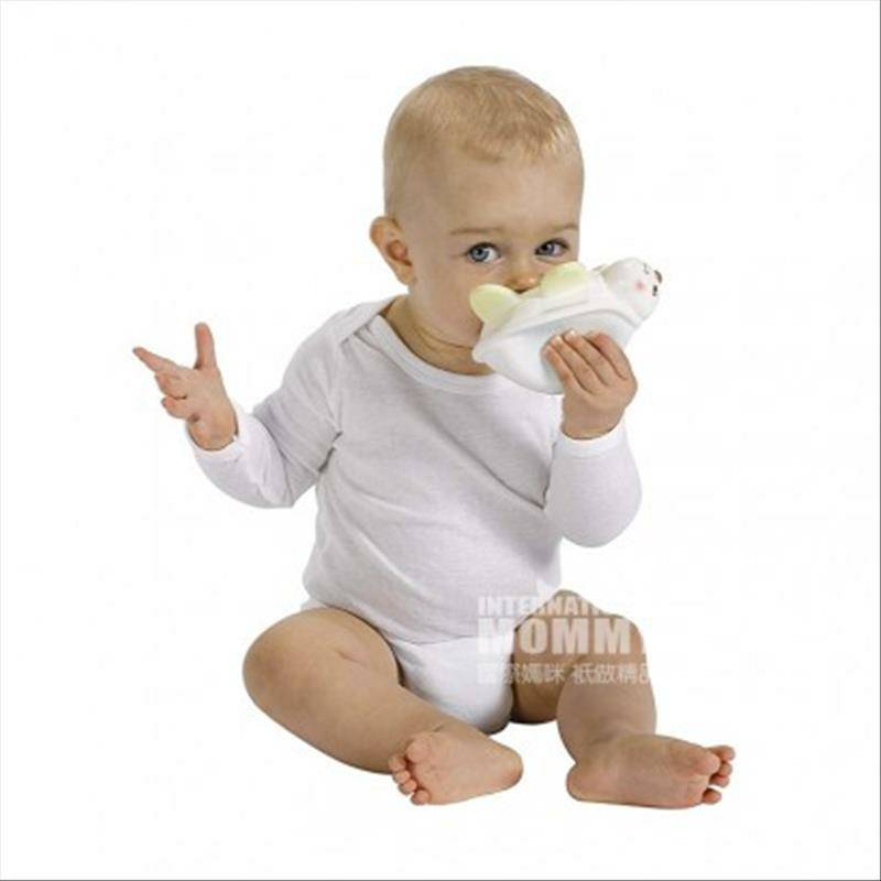 Vulli Sophie 프랑스아기거북이빨해외판