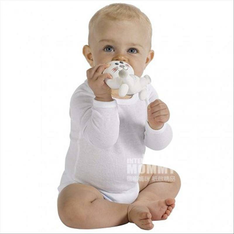 Vulli Sophie 프랑스베이비마우스테더해외판