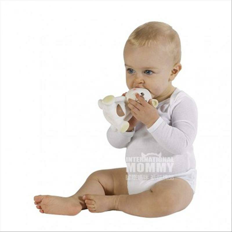 Vulli Sophie 프랑스아기곰이빨해외판