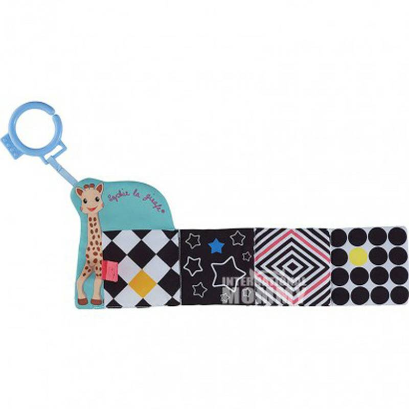 Vulli Sophie 프랑스아기장난감피복책해외버전