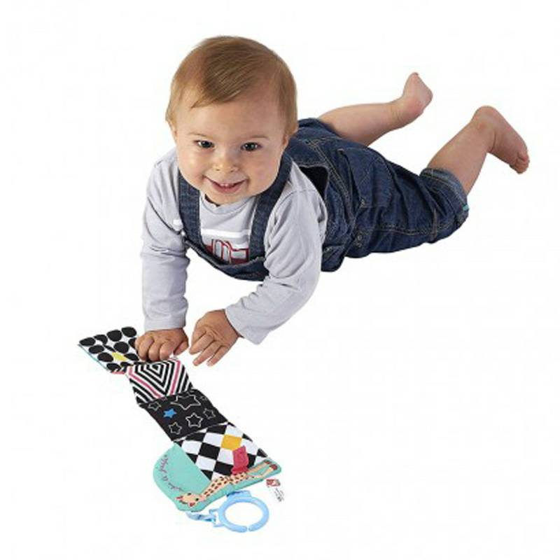 Vulli Sophie 프랑스아기장난감피복책해외버전