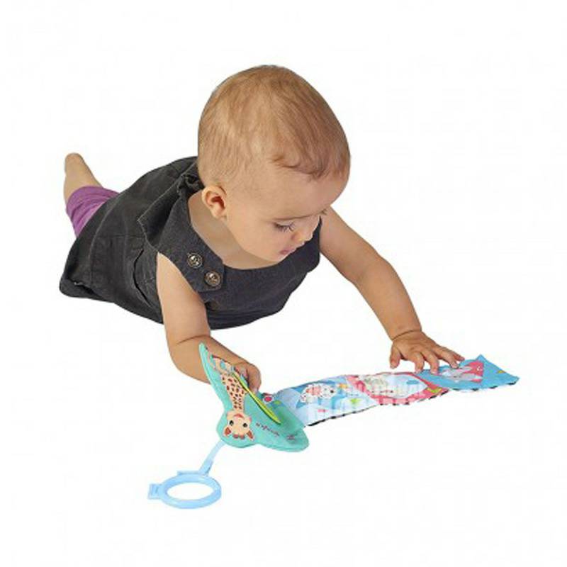 Vulli Sophie 프랑스아기장난감피복책해외버전