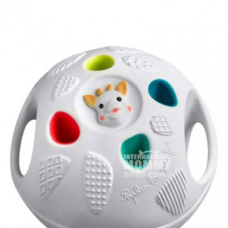 Vulli Sophie 프랑스베이비소프트핸드볼해외판