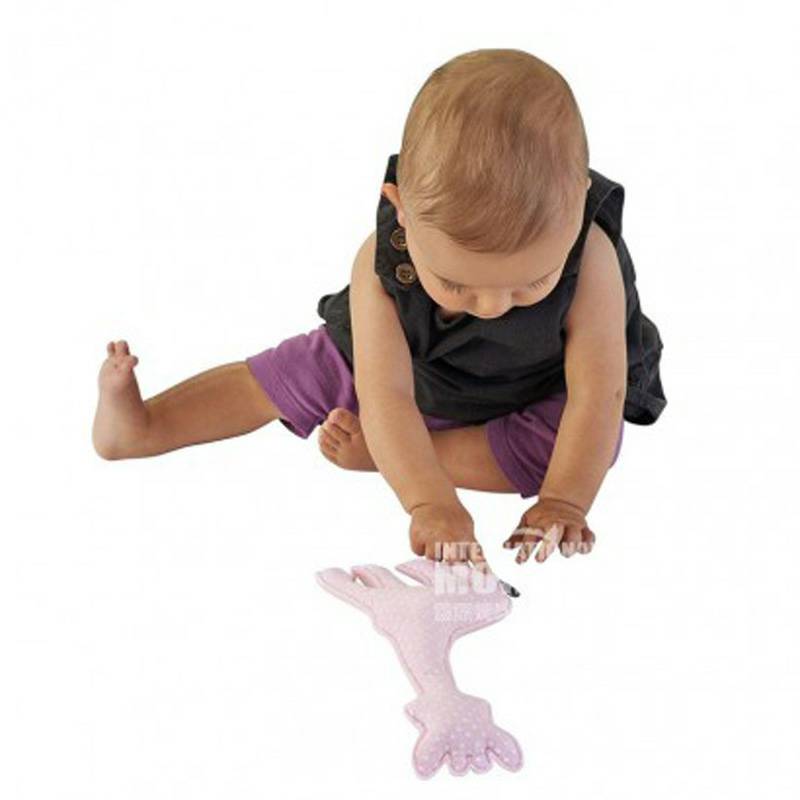 Vulli Sophie 프랑스베이비핑크기린달래는인형해외버전