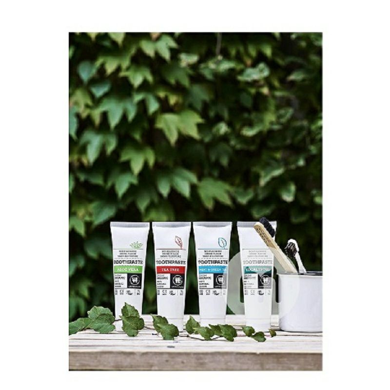 URTEKRAM 덴마크티트리유기불화물치약 * 2 해외버전