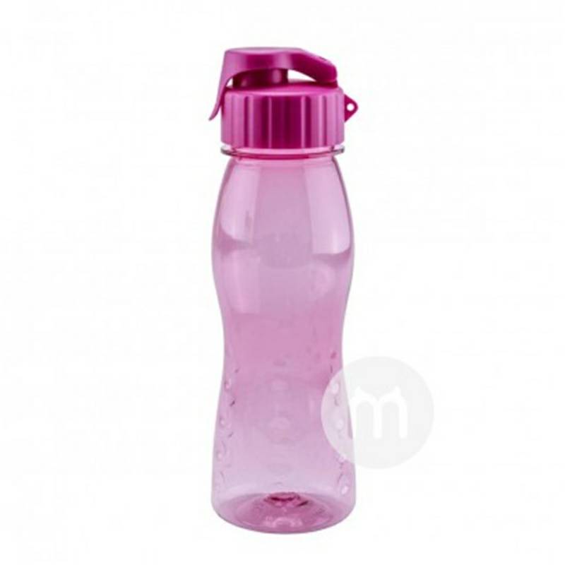 Culinario 독일스포츠컵해외판