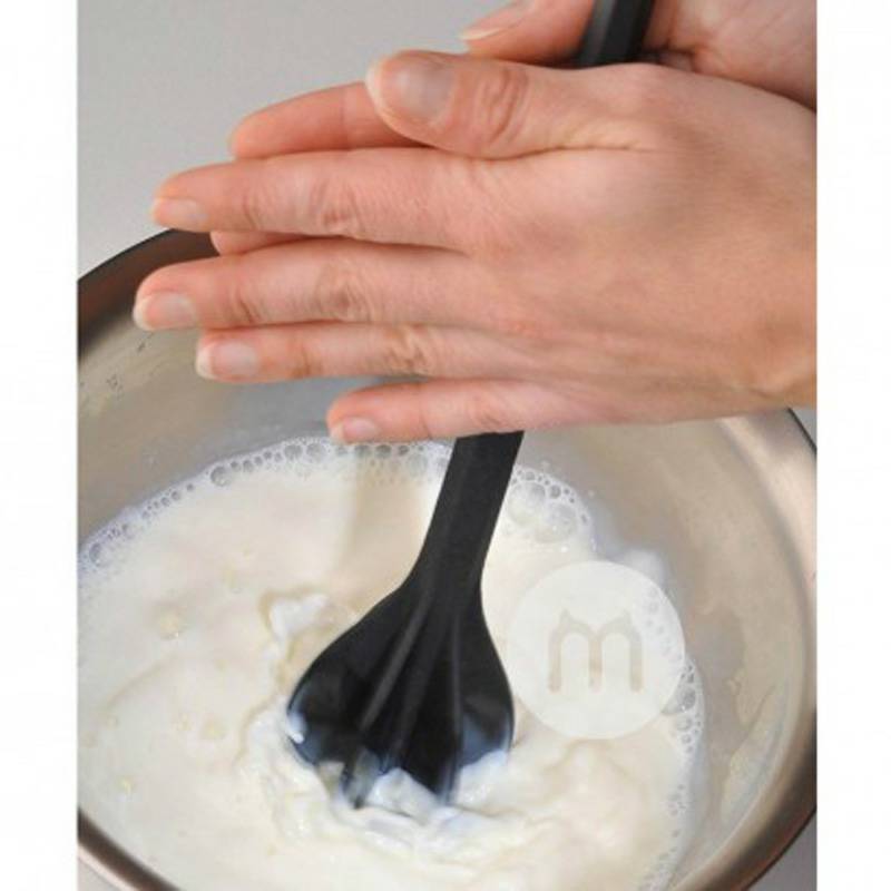 Silit 독일실리콘블렌더해외판