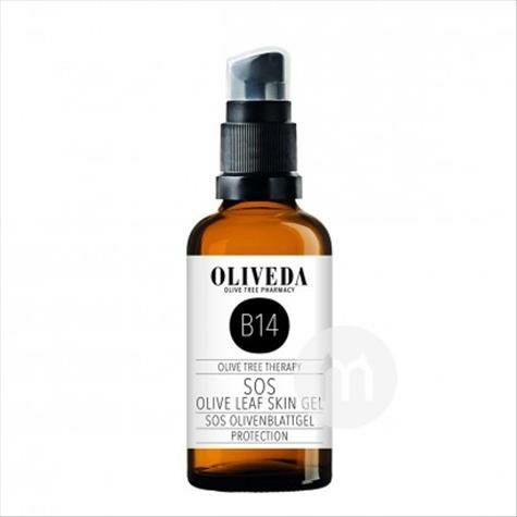 OLIVEDA 독일 B14 올리브리프리페어젤해외판