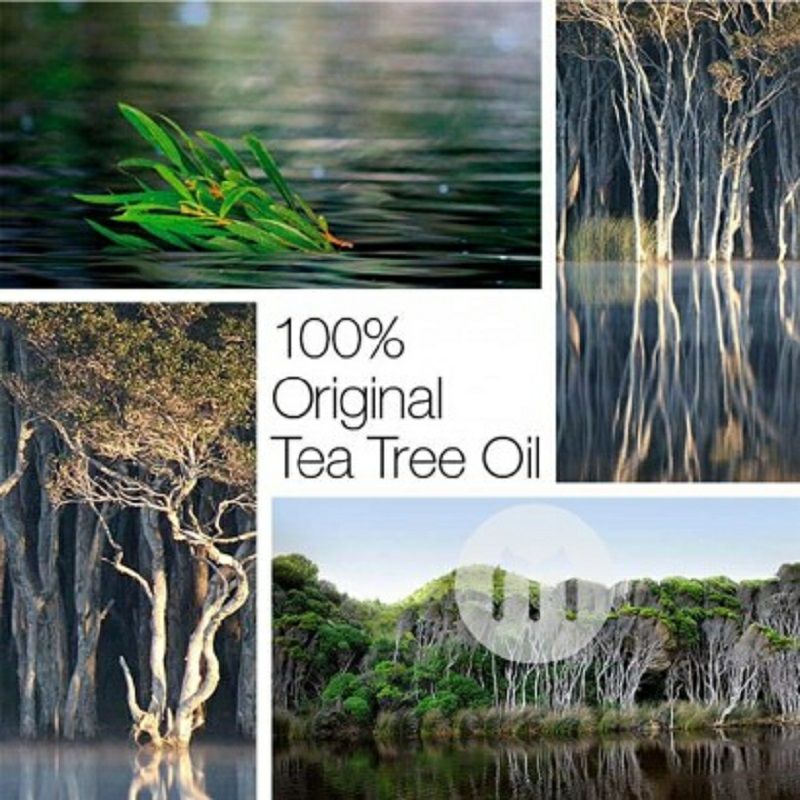 Australian Bodycare케어호주보디케어개인부품세척젤해외버전