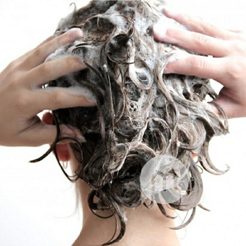 Australian Bodycare보디케어보디케어티트리오일영양샴푸해외판