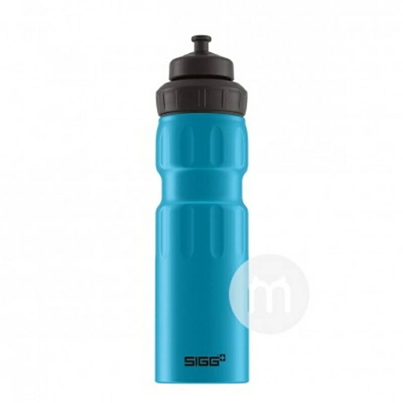 SIGG 스위스 WMB 스포츠컵 750ml 해외판