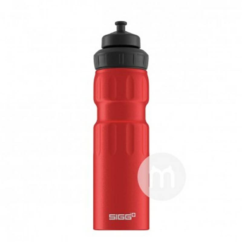 SIGG 스위스 WMB 스포츠컵 750ml 해외판