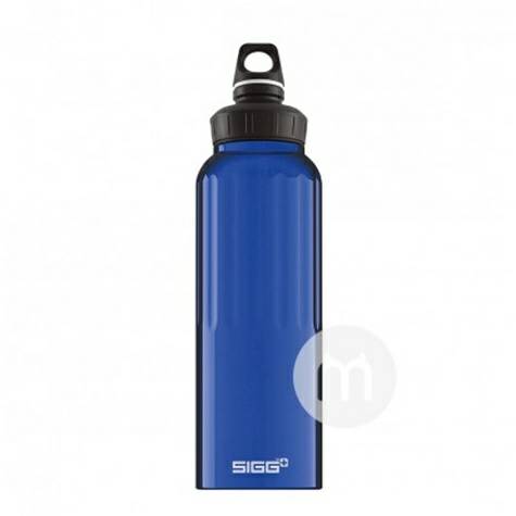 SIGG 스위스 WMB 트래블컵 1500ml 해외판