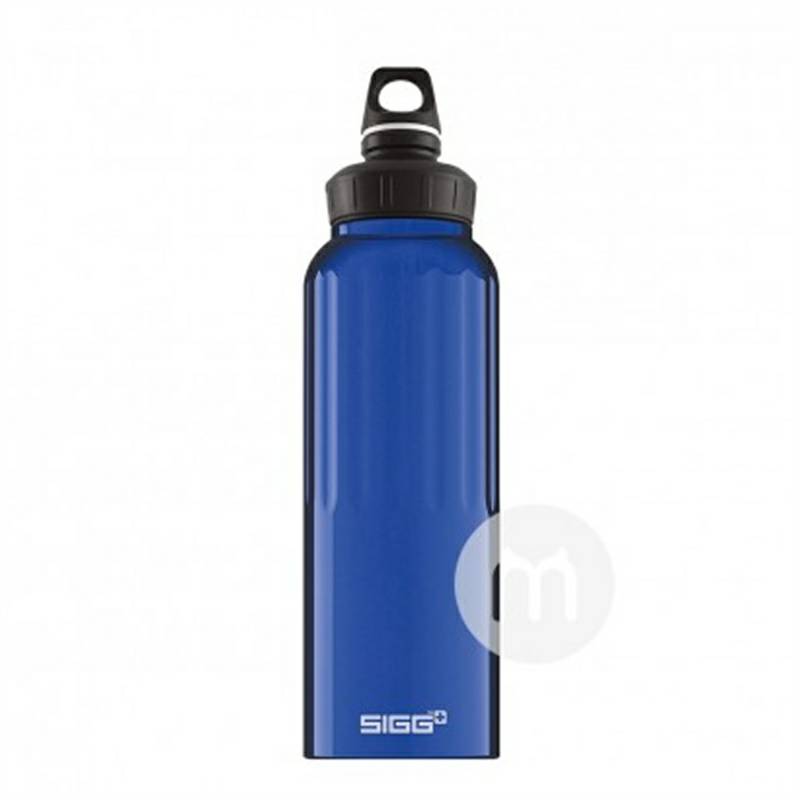 SIGG 스위스 WMB 트래블컵 1500ml 해외판