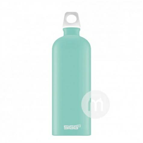 SIGG 스위스퓨어컬러알루미늄포트 1000ml 해외버전
