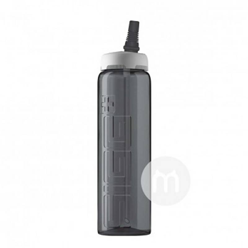 SIGG 스위스짚컵 750ml 해외판