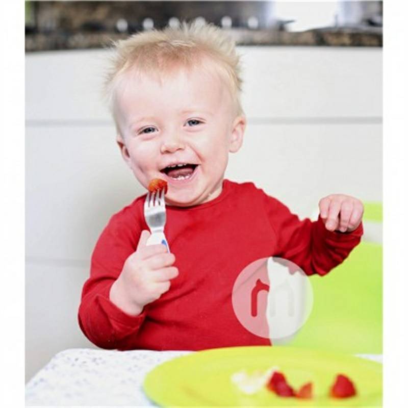 Doddl 영국어린이용스테인리스숟가락포크훈련세트해외판