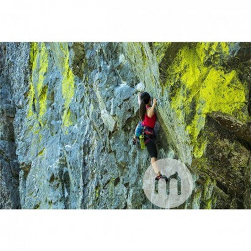 Nalgene미국플라스틱휴대용스포츠핸디컵 650ml 해외버전