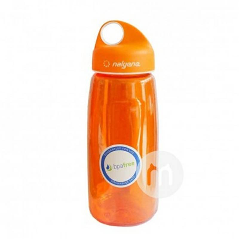 Nalgene신규에디션용날진 750ml 컵